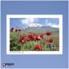 Iran Mount Damavand postcard