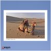 Lut Desert postcard