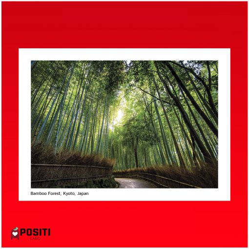 Kyoto Bamboo Forest postcard