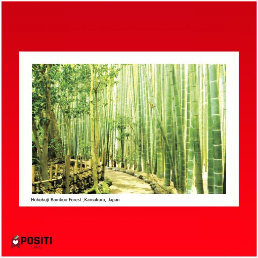 Hokokuji Bamboo Forest postcard