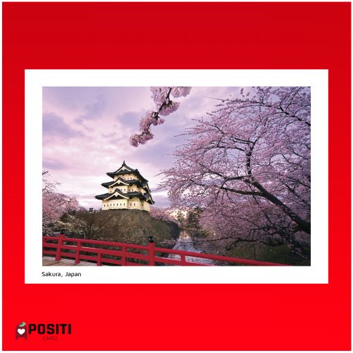 Sakura postcard