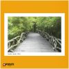 China Yanoda Rainforest postcard